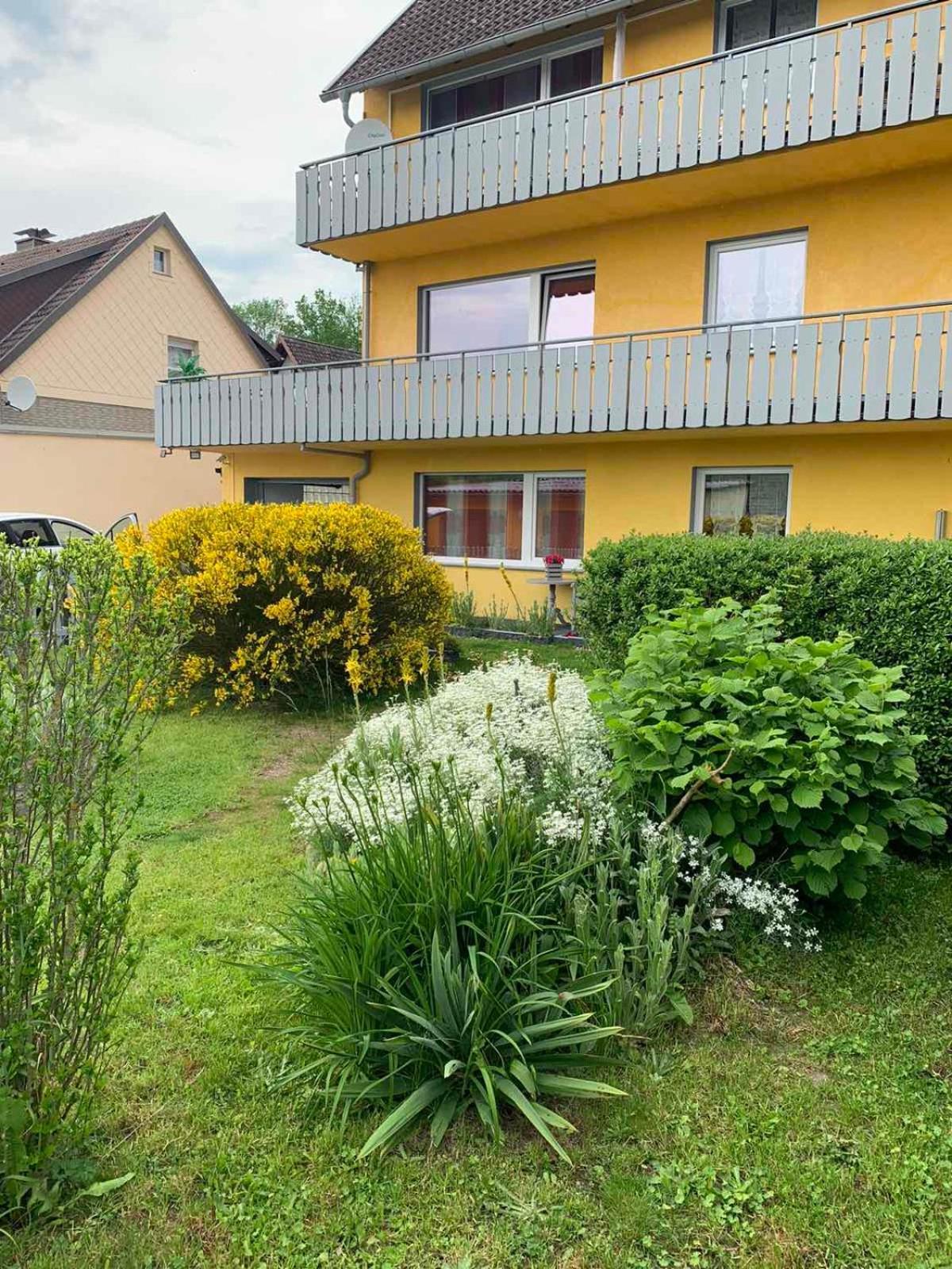 Ferienhaus Am Geiersberg Walkenried Bagian luar foto