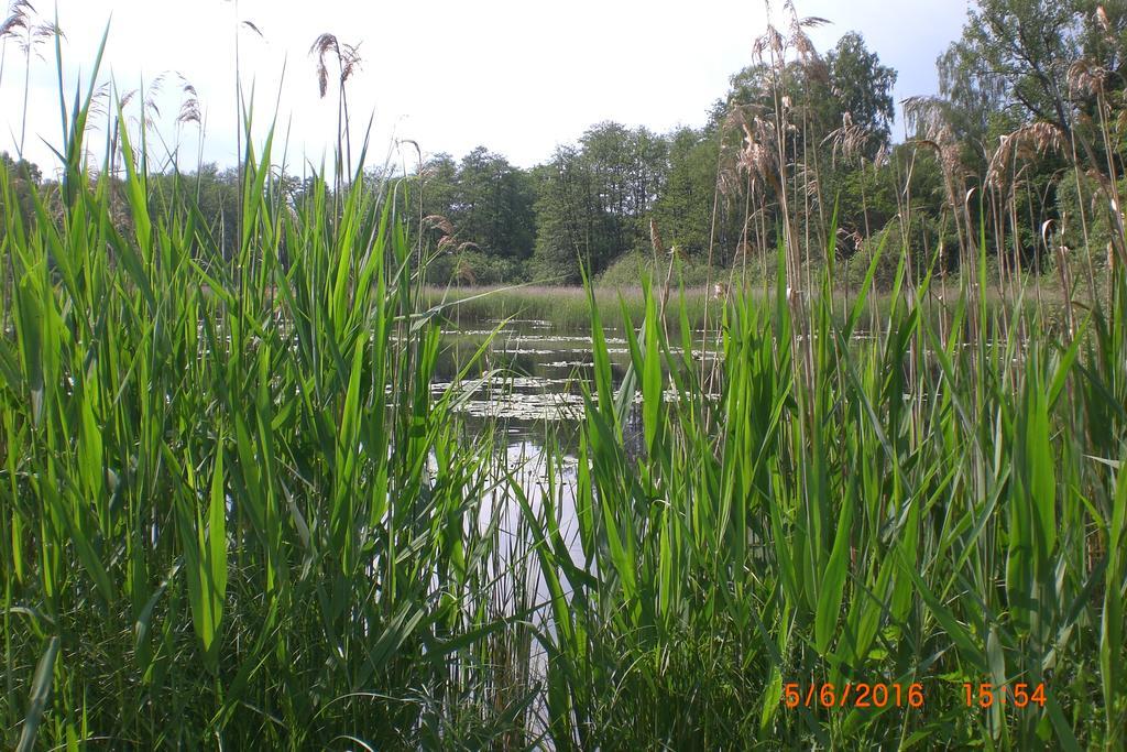 Ferienhaus Am Geiersberg Walkenried Bagian luar foto
