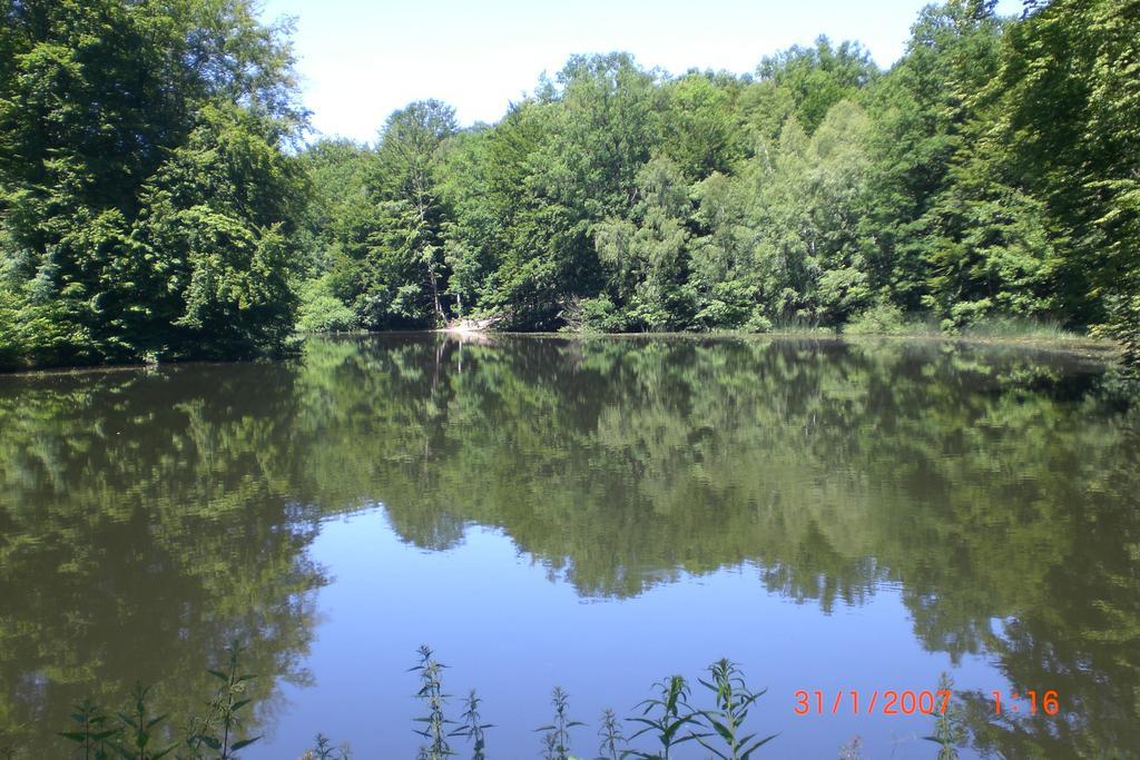 Ferienhaus Am Geiersberg Walkenried Bagian luar foto